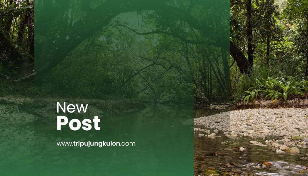 Best Ujung Kulon Tour Package