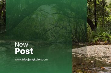 Best Ujung Kulon Tour Package