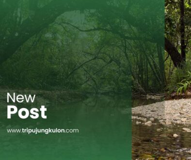 Best Ujung Kulon Tour Package