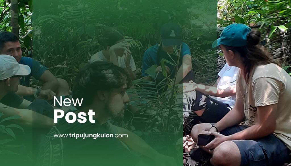 Trekking Ujung Kulon Rainforest