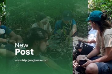 Trekking Ujung Kulon Rainforest