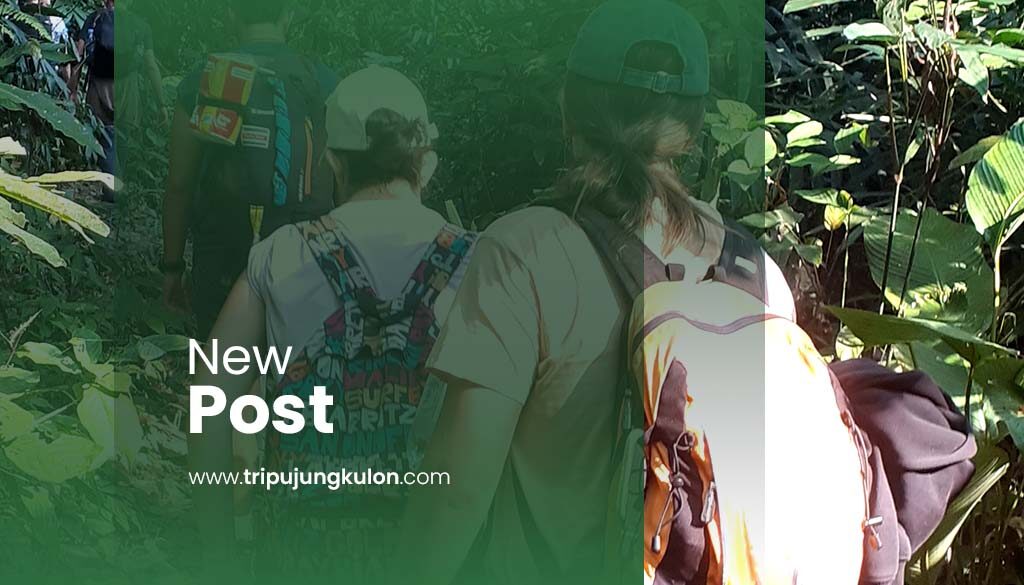 Ujung Kulon Jungle Trekking