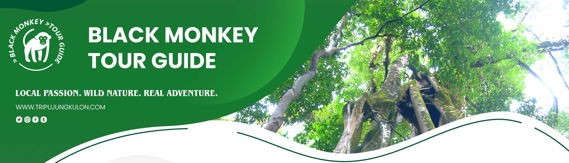 ujung kulon, indonesia, west java, handeleum, peucang, panaitan, cigenter, sumur, tanjung lesung, Banten, national park, Javan rhinoceros, Ujung Kulon National Park Tour, Black Monkey Tour Guide , Ujung Kulon Jungle Trekking , Ujung Kulon Forest Adventure , Javan Rhino Trekking Indonesia , Ujung Kulon Wildlife Tour , Ujung Kulon Eco Tourism , Trekking Ujung Kulon Rainforest , Forest Camping Ujung Kulon , Ujung Kulon Hiking Guide , Best Ujung Kulon Tour Package , Indonesia Jungle Tour , Javan Rhino National Park , Explore Ujung Kulon Forest , Rare Wildlife Java Indonesia , Javan Gibbon Watching Tour , Indonesia Rainforest Adventure , Nature Tour Banten Indonesia , Forest Exploration Java Island , Jungle Safari Indonesia , Tropical Forest Trek Indonesia , Visit Ujung Kulon from Jakarta , Ujung Kulon Curug Cikacang Waterfall , Sumur Banten Jungle Tour , West Java Nature Travel , Taman Nasional Ujung Kulon , Explore Hidden Java , Labuan to Ujung Kulon Trip , Sumur to Ujung Kulon Tour , Cimanuk Forest Guide , Black Monkey Tour Guide , 2 Days 1 Night Ujung Kulon , 3 Days 2 Nights Ujung Kulon Tour , One Day Tour Krakatau Volcano , Overnight Camping Ujung Kulon , Custom Forest Tour Indonesia , Jungle Travel Indonesia Package , Affordable Ujung Kulon Tour , Eco Trip Indonesia for Foreigners , Private Jungle Tour West Java , Indonesia Trekking Tour for Europeans , Adventure Travel Indonesia Europe , Indonesia Jungle Tour for Australians , Best Eco Tour Indonesia for Americans , Guided Nature Tour Indonesia , Local Forest Guide Ujung Kulon , Safe Trekking Tour Indonesia , Eco Friendly Tour Indonesia , English Speaking Guide Indonesia , Hidden Gem Tours Java Island , Off the Beaten Path Indonesia, 