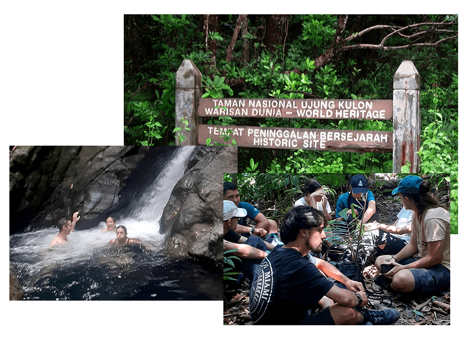 tentang kami trip ujung kulon