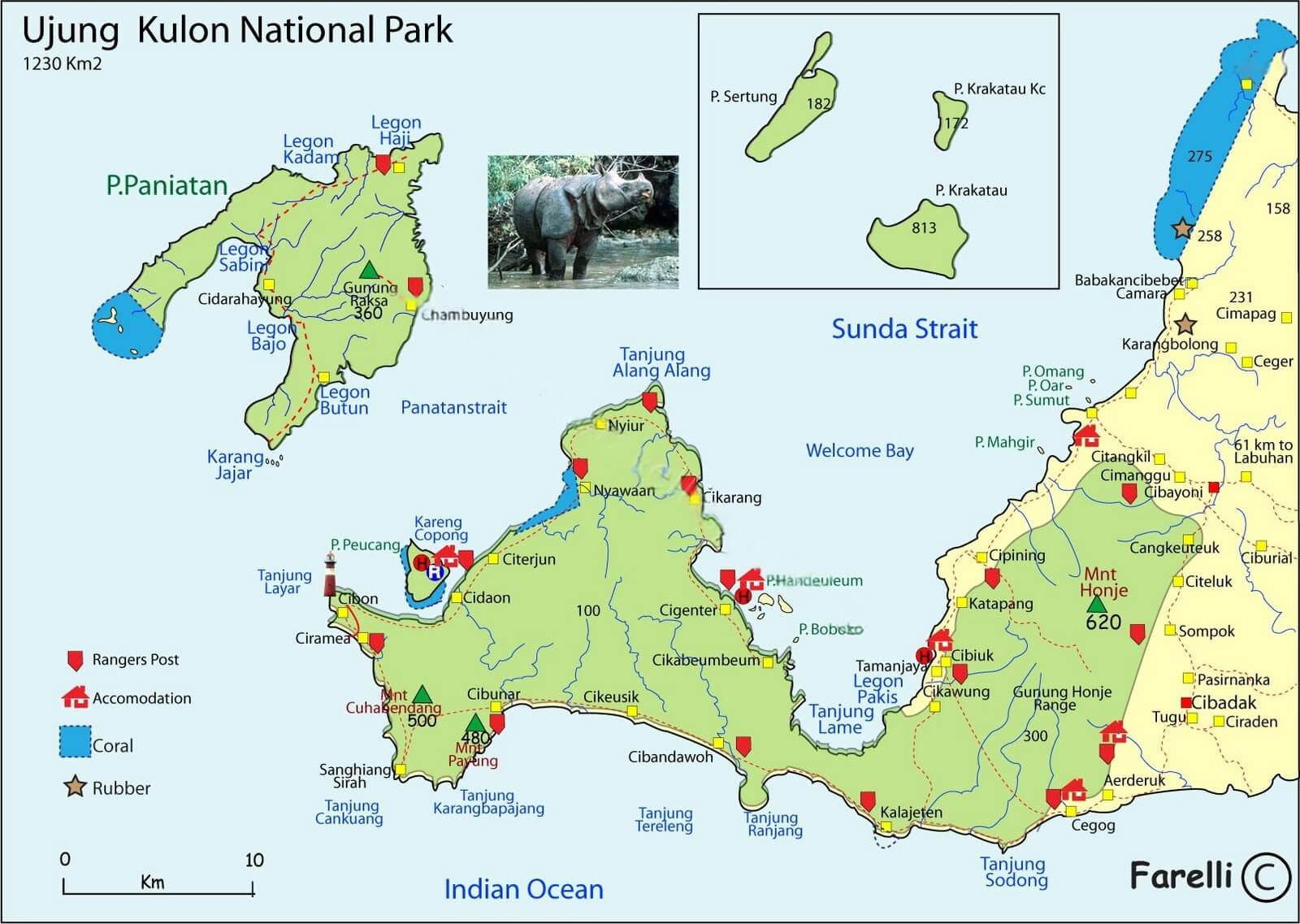 ujung kulon, indonesia, west java, handeleum, peucang, panaitan, cigenter, sumur, tanjung lesung, Banten, national park, Javan rhinoceros, Ujung Kulon National Park Tour, Black Monkey Tour Guide , Ujung Kulon Jungle Trekking , Ujung Kulon Forest Adventure , Javan Rhino Trekking Indonesia , Ujung Kulon Wildlife Tour , Ujung Kulon Eco Tourism , Trekking Ujung Kulon Rainforest , Forest Camping Ujung Kulon , Ujung Kulon Hiking Guide , Best Ujung Kulon Tour Package , Indonesia Jungle Tour , Javan Rhino National Park , Explore Ujung Kulon Forest , Rare Wildlife Java Indonesia , Javan Gibbon Watching Tour , Indonesia Rainforest Adventure , Nature Tour Banten Indonesia , Forest Exploration Java Island , Jungle Safari Indonesia , Tropical Forest Trek Indonesia , Visit Ujung Kulon from Jakarta , Ujung Kulon Curug Cikacang Waterfall , Sumur Banten Jungle Tour , West Java Nature Travel , Taman Nasional Ujung Kulon , Explore Hidden Java , Labuan to Ujung Kulon Trip , Sumur to Ujung Kulon Tour , Cimanuk Forest Guide , Black Monkey Tour Guide , 2 Days 1 Night Ujung Kulon , 3 Days 2 Nights Ujung Kulon Tour , One Day Tour Krakatau Volcano , Overnight Camping Ujung Kulon , Custom Forest Tour Indonesia , Jungle Travel Indonesia Package , Affordable Ujung Kulon Tour , Eco Trip Indonesia for Foreigners , Private Jungle Tour West Java , Indonesia Trekking Tour for Europeans , Adventure Travel Indonesia Europe , Indonesia Jungle Tour for Australians , Best Eco Tour Indonesia for Americans , Guided Nature Tour Indonesia , Local Forest Guide Ujung Kulon , Safe Trekking Tour Indonesia , Eco Friendly Tour Indonesia , English Speaking Guide Indonesia , Hidden Gem Tours Java Island , Off the Beaten Path Indonesia, 