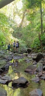 tripujungkulon (1)