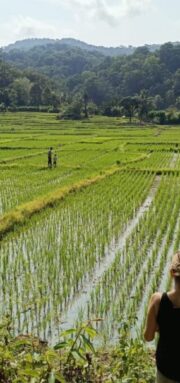 tripujungkulon (6)