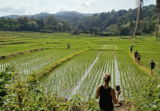 ujung kulon, indonesia, west java, handeleum, peucang, panaitan, cigenter, sumur, tanjung lesung, Banten, national park, Javan rhinoceros, Ujung Kulon National Park Tour, Black Monkey Tour Guide , Ujung Kulon Jungle Trekking , Ujung Kulon Forest Adventure , Javan Rhino Trekking Indonesia , Ujung Kulon Wildlife Tour , Ujung Kulon Eco Tourism , Trekking Ujung Kulon Rainforest , Forest Camping Ujung Kulon , Ujung Kulon Hiking Guide , Best Ujung Kulon Tour Package , Indonesia Jungle Tour , Javan Rhino National Park , Explore Ujung Kulon Forest , Rare Wildlife Java Indonesia , Javan Gibbon Watching Tour , Indonesia Rainforest Adventure , Nature Tour Banten Indonesia , Forest Exploration Java Island , Jungle Safari Indonesia , Tropical Forest Trek Indonesia , Visit Ujung Kulon from Jakarta , Ujung Kulon Curug Cikacang Waterfall , Sumur Banten Jungle Tour , West Java Nature Travel , Taman Nasional Ujung Kulon , Explore Hidden Java , Labuan to Ujung Kulon Trip , Sumur to Ujung Kulon Tour , Cimanuk Forest Guide , Black Monkey Tour Guide , 2 Days 1 Night Ujung Kulon , 3 Days 2 Nights Ujung Kulon Tour , One Day Tour Krakatau Volcano , Overnight Camping Ujung Kulon , Custom Forest Tour Indonesia , Jungle Travel Indonesia Package , Affordable Ujung Kulon Tour , Eco Trip Indonesia for Foreigners , Private Jungle Tour West Java , Indonesia Trekking Tour for Europeans , Adventure Travel Indonesia Europe , Indonesia Jungle Tour for Australians , Best Eco Tour Indonesia for Americans , Guided Nature Tour Indonesia , Local Forest Guide Ujung Kulon , Safe Trekking Tour Indonesia , Eco Friendly Tour Indonesia , English Speaking Guide Indonesia , Hidden Gem Tours Java Island , Off the Beaten Path Indonesia, 