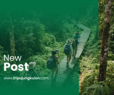 jungle adventure ujung kulon