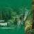 jungle adventure ujung kulon