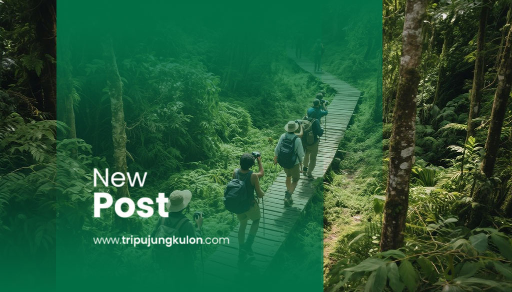 jungle adventure ujung kulon