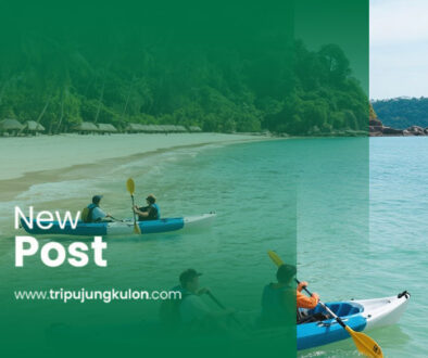 ujung kulon tour package